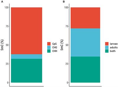 Complete Metamorphosis in Manduca sexta Involves Specific Changes in DNA Methylation Patterns